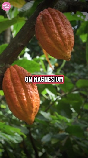 That Nervous Feeling? Your Body's Screaming for Magnesium #nutrition #anxiety #remedy