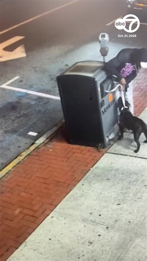 Video shows a man tying a 6-month-old pit bull to a garbage container outside a liquor store on Orange Road before entering the store.