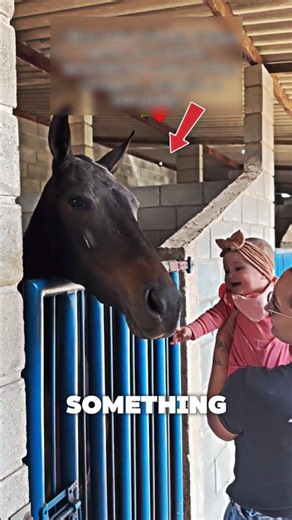 Baby’s Sweet Moment With a Gentle Horse! ❤️