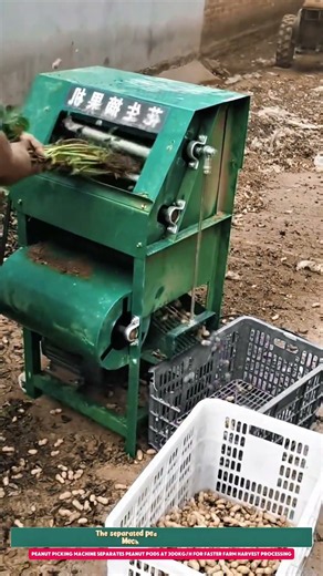 Peanut Picking Machine Separates Peanut Pods at 300kg/h for Faster Farm Harvest Processing