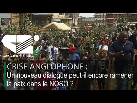 LE JOURNAL 19h50 du Mercredi 29/04/2026 - Canal 2 international