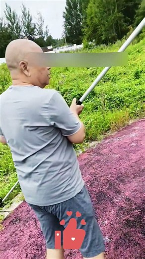 Lotus Pod Picker Hack 🌿 Long-Reach Hook, Safe & Easy ✨🛶
