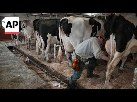 Farmers show the pasteurization process as the push for raw milk grows