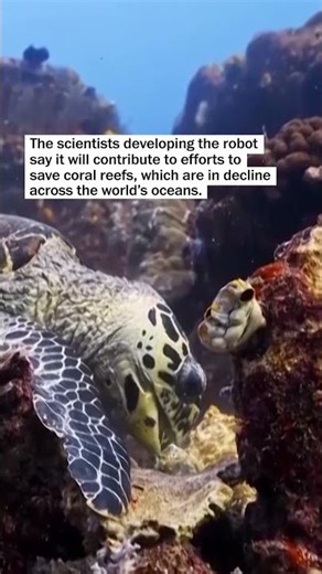This autonomous robot is helping protect coral reefs