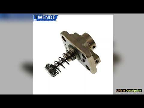 OEM F01M100869 F01M100781 Automobiles Engine Parts Diesel Fuel Pump Plunger For CP1 CP1H CP1H3 pump