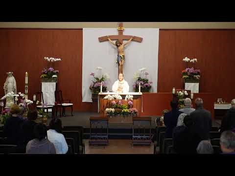 STM Livestream: 8AM Wednesday Mass