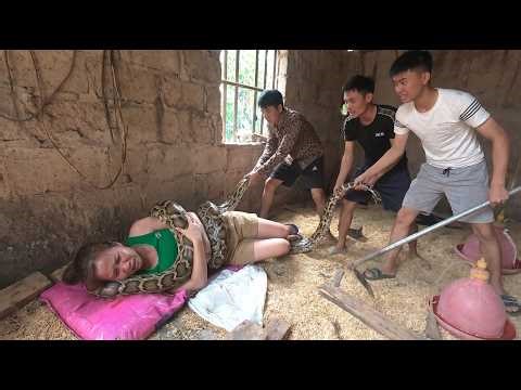 Giant Python Wraps Woman in Abandoned House – Shocking Rescue!