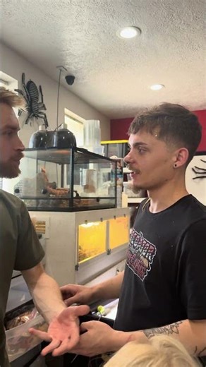 POV: you asked for a ball python and came in with a 10 gallon, aspen substrate, and a heat bulb 👋💀