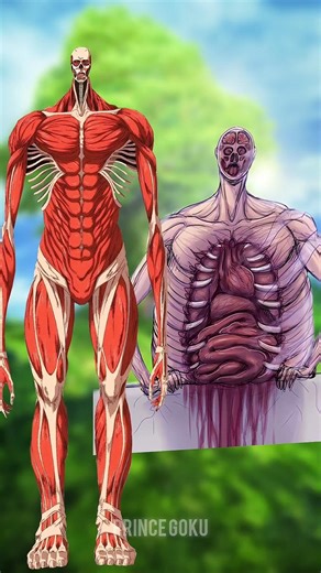 Armin Colossal Titan vs All abnormal Titan 🔥| Eren, Bertholdt & Rod Reiss & ymir #eren#attackontitan