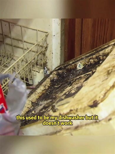 #hoarders #usa #foryou #tiktok #hoardingburiesalive | hoarders