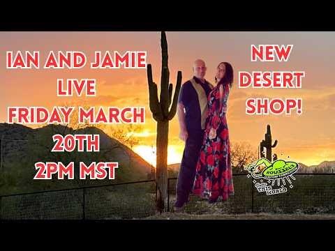 LIVE Shop Tour: Ian Roussel’s New Arizona Desert Garage + VW Beetle Build Update