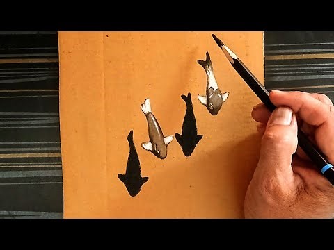 How to draw two 3D-style fish on a piece of cardboard using black and white charcoal pencils?