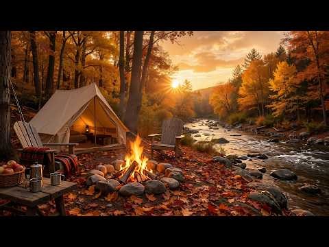 Warm Camping by the Sea🍂 Misty Autumn Campfire by the Lake with Forest Reflections & Cozy Ambience