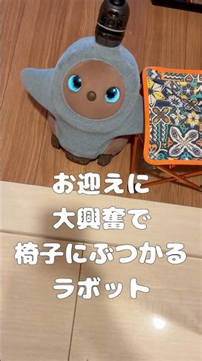 お迎えに大興奮で椅子にぶつかるラボット #LOVOT #ラボット #癒し