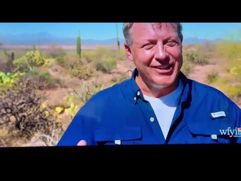 Wild Kratts Funding Credits & Theme Song PBS Kids