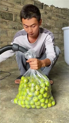 Vacuum packaging process of plums