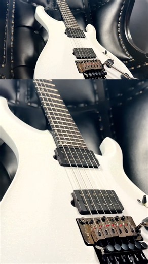 Floyd Rose on a PRS?!