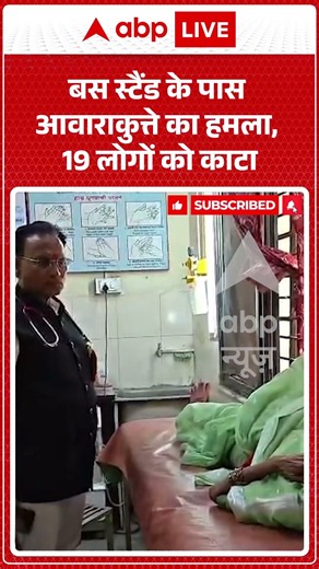 Viral Video : बस स्टैंड के पास आवारा कुत्ते का हमला, 19 लोगों को काटा | #viral #dogbite #maharashtra