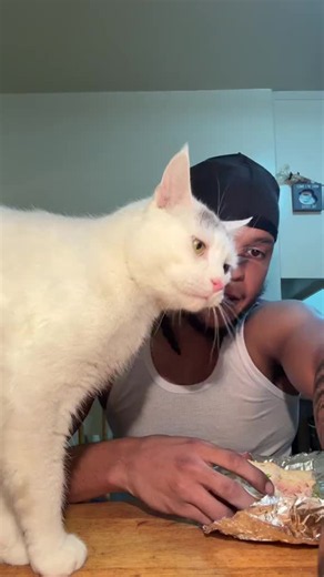 #onthisday 😂😂😂#fyp #dbj | cat pretends to eat