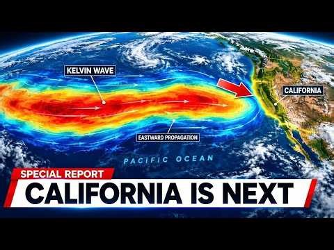 A Massive Kelvin Wave Is Moving Toward California — And It Could Change Everything