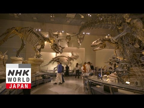 National Museum of Nature and Science, Tokyo - The Perfect 2-Hour Guide