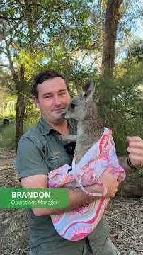 Our Favourite Things About Zookeeping | Australian Reptile Park