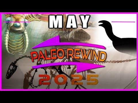PaleoRewind || May, 2025