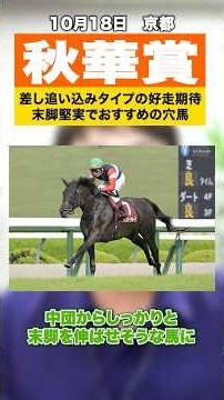 【秋華賞2026】おすすめ穴馬をご紹介！先行意識が強まる展開で差し追い込みタイプが来る？【スポナビ競馬】