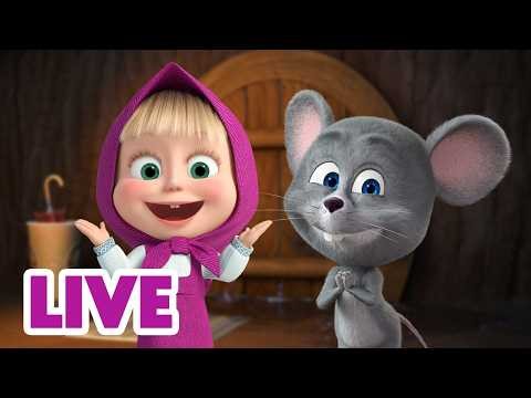 🔴 LIVE STREAM 🎬 Masha and the Bear 🐞🌳 Tiny Toes and Little Nose 🐭🐾