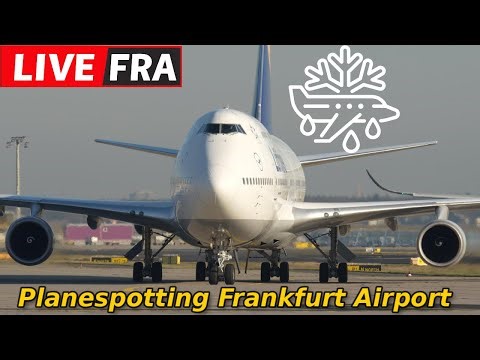 🔴Live Planespotting Frankfurt Airport Deicing Action❄️6.1.2026 Winterdienst🌨️