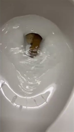 S2 Day 2 of Flushing Things