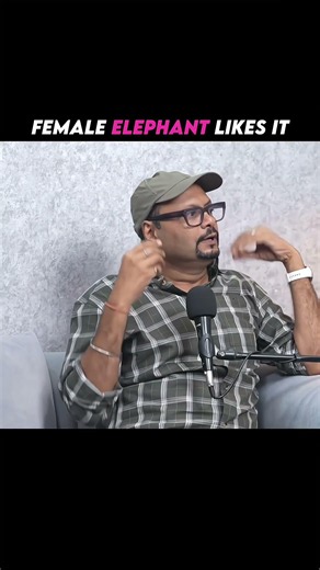 What Does a Female Elephant Like? 🐘❤️ | Amazing Elephant Facts