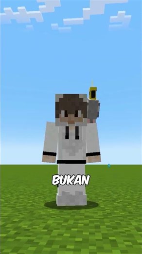 Your Parrot Can Damage Minecraft