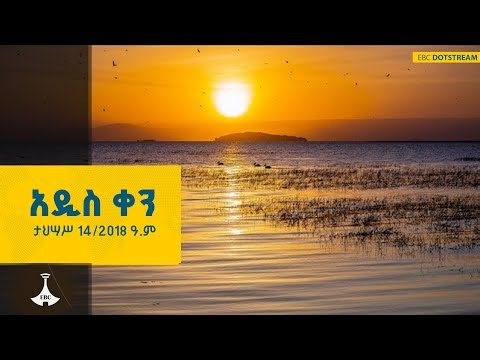 የኤርትራ ፕሮጀክት ለምን ፈረሰ? | RedSea | Ethiopia | Horn Africa | Ethio Melhik |