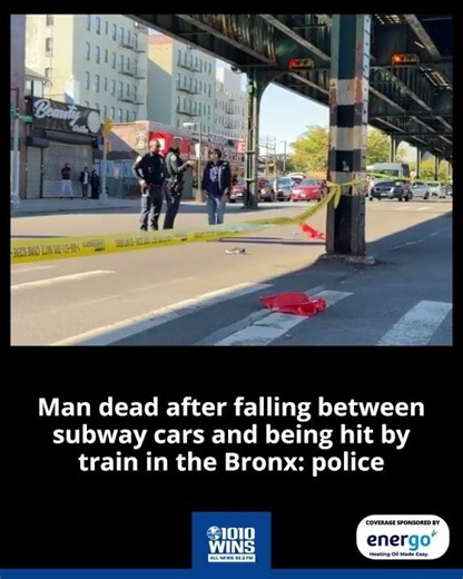 Man dead after falling between subway cars and being hit by train in the Bronx: police