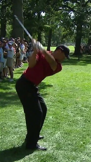 Tiger Woods' all-universe birdie is one to remember 🐅