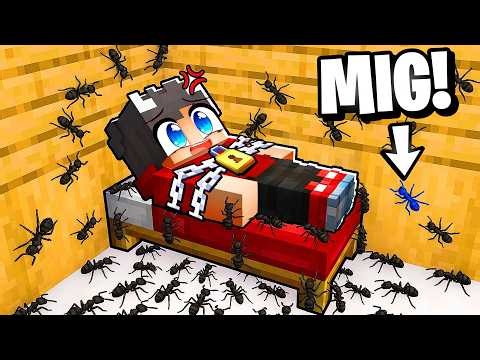 Jeg Er Blevet til en MYRE i Minecraft!