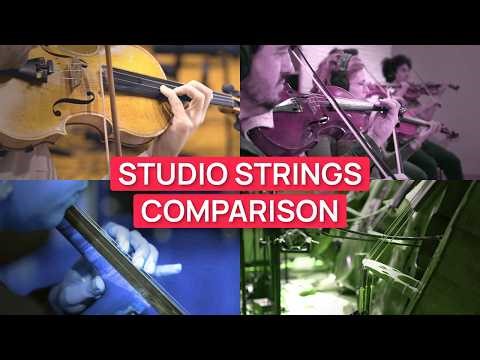 Ultimate String Comparison for Beginners - Section by Section