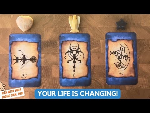 Your Story: Past, Present and Future! | Timeless Reading