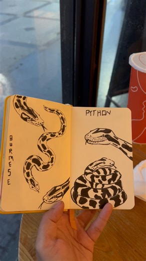 Burmese Python Gyi #art #pendrawing #drawing #burmesepython