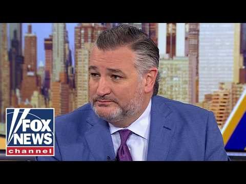 Ted Cruz SOUNDS ALARM on crucial race: This will 'LEAVE BRUISES'