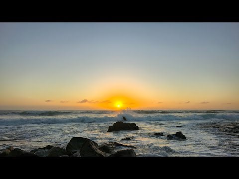 Charged Morning at Point Arkwright, Australia | Sunrise 133 – Living Motion | UHD, 4K