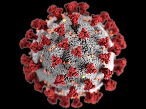 Deep Learning Based COVID-19 Detection Using X-ray Imaging | EEE 312 Project | Group 01