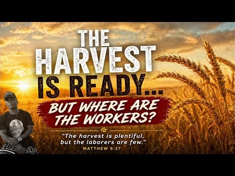“Stop Watching—Start Working | Matthew 9:37”