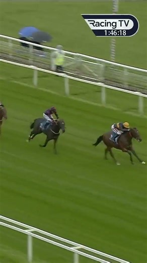Cut A Dash sprints clear on the Knavesmire 🚀