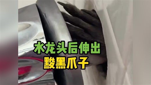 浴室水龙头后伸出的神秘爪子