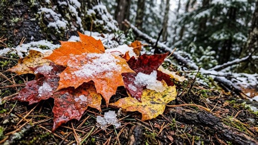 Northeastern storm on Friday brings an end to record high temperatures, snowfall expected in the Adirondacks