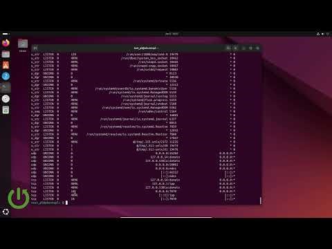 Linux – How to use ss command to list sockets and ports