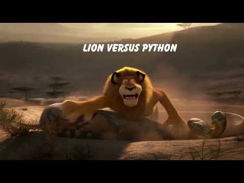 Watch what happened next…