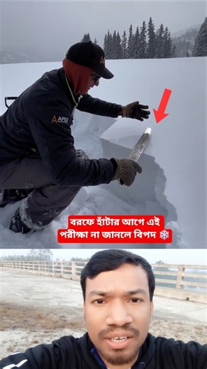 Avalanche Warning Signs Everyone Should Know